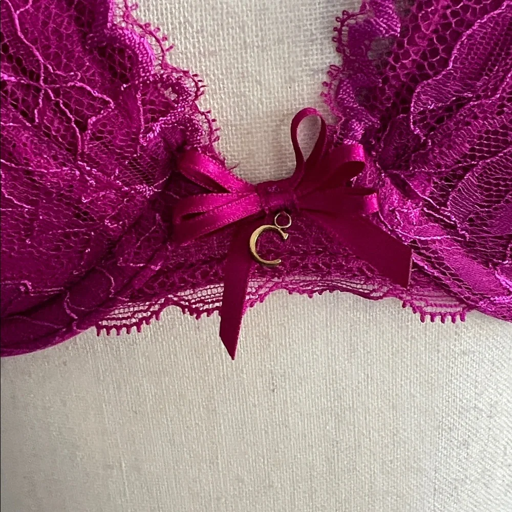 Chantelle Opera Push-Up Bra - Picture 3 of 9